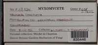 Image Associated With the Occurence